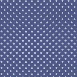 Howdy Partner Starry Trails Denim
